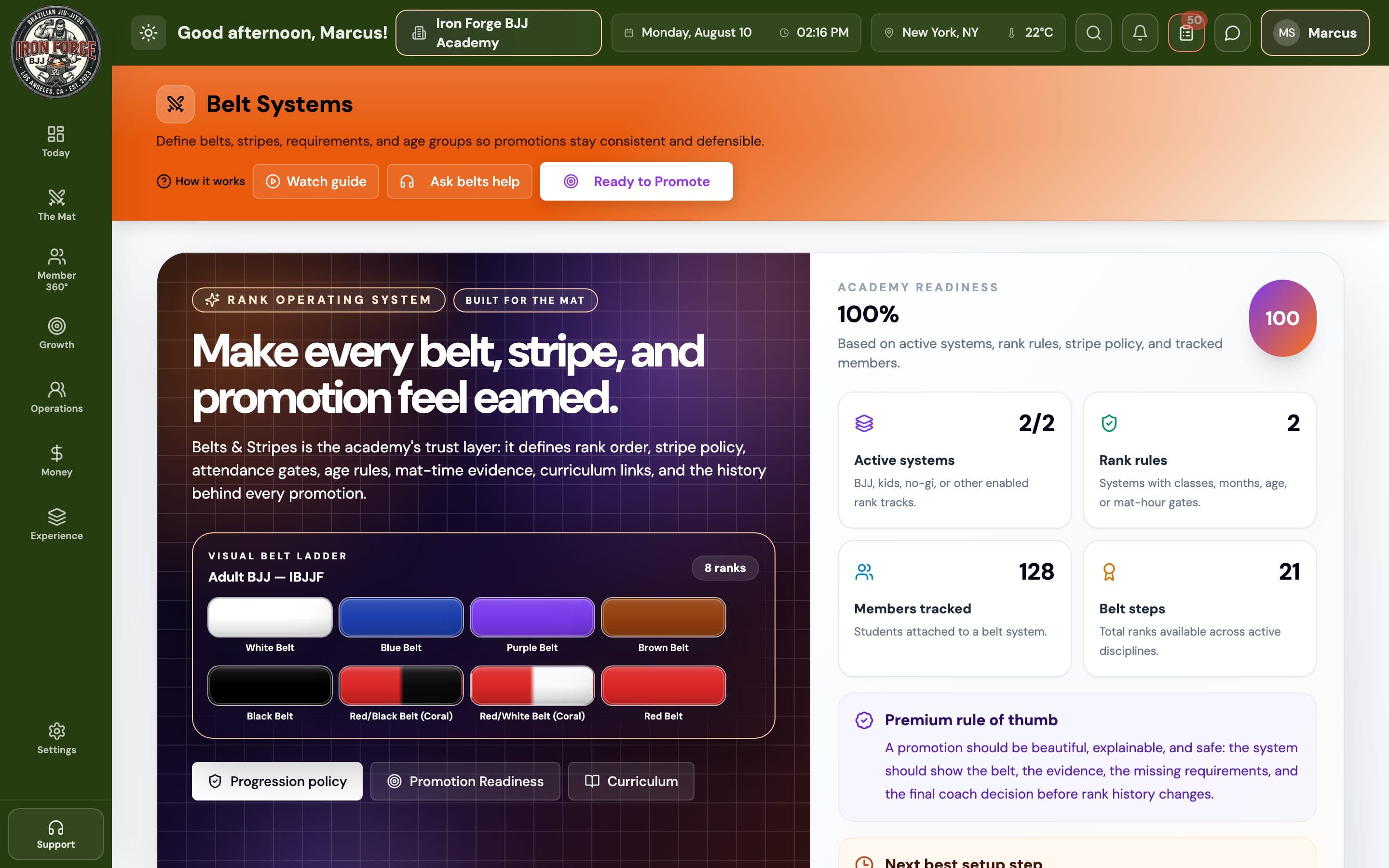 Belt systems screen — belt ladders with stripes and promotion criteria